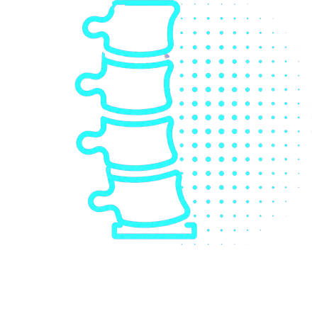 Lumbar spine vertebrae